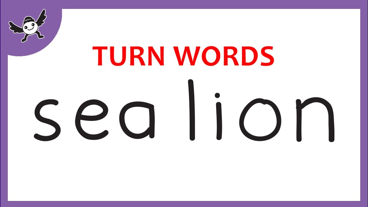 1280x720 Sea Lion Drawing How To Turn Words Sea Lion Into Cartoons Sea