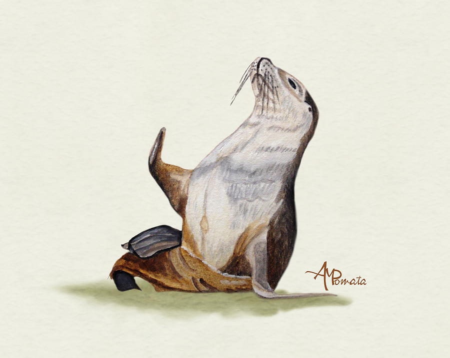 900x717 Sea Lion Watercolor Ii Painting By Angeles M Pomata