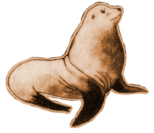 300x260 Simpson Reef Amp Shell Island