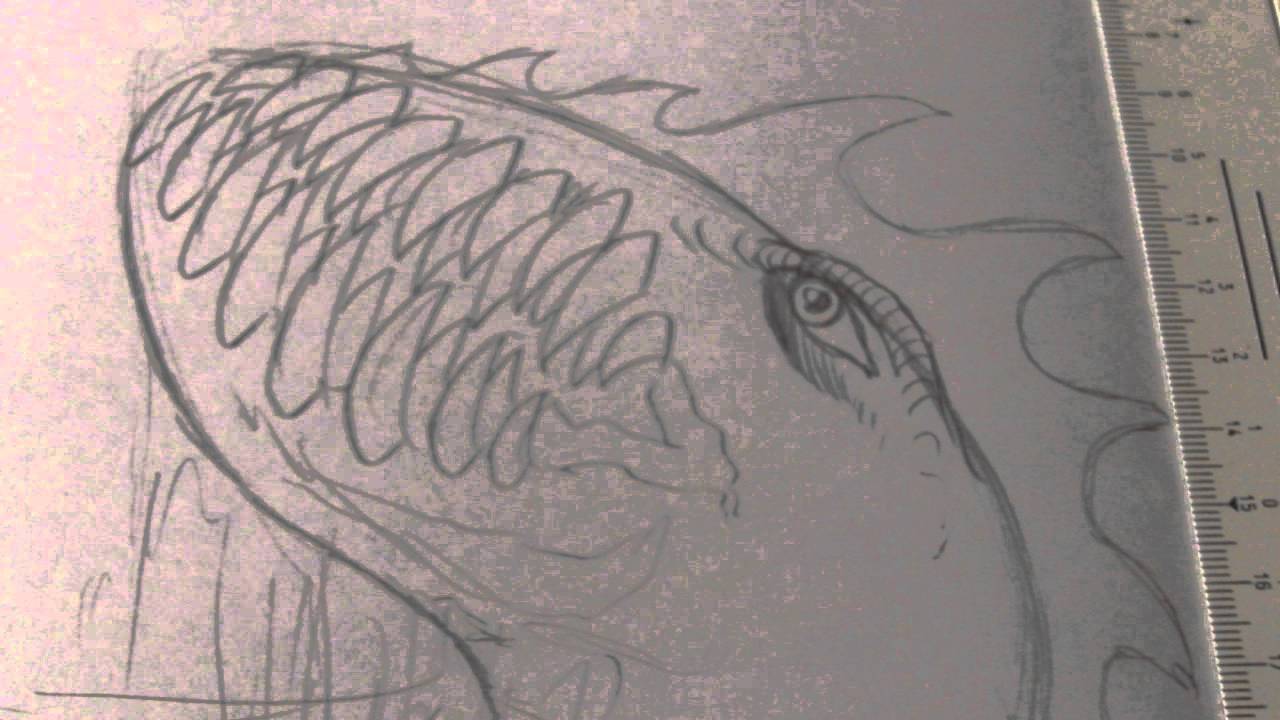 1280x720 Drawing A Sea Monster Step By Step Video