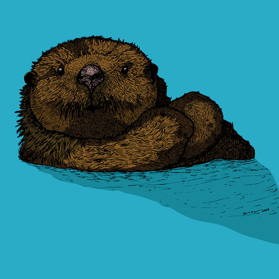 900x900 Sea Otter