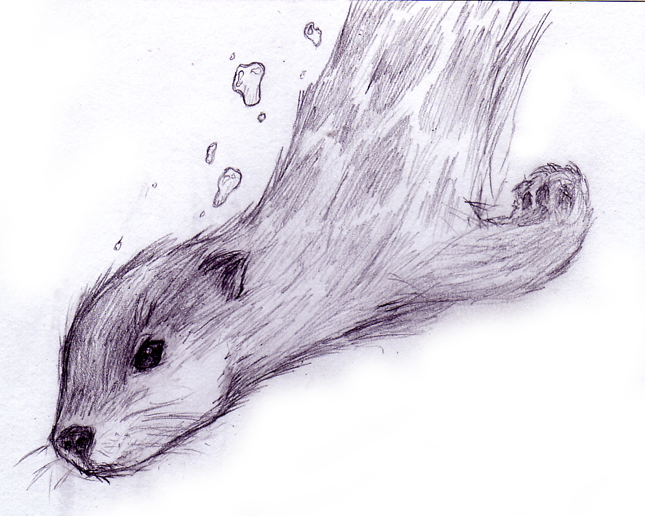 645x516 Otter Drawing Otter By Siriex Traditional Art Drawings Animals