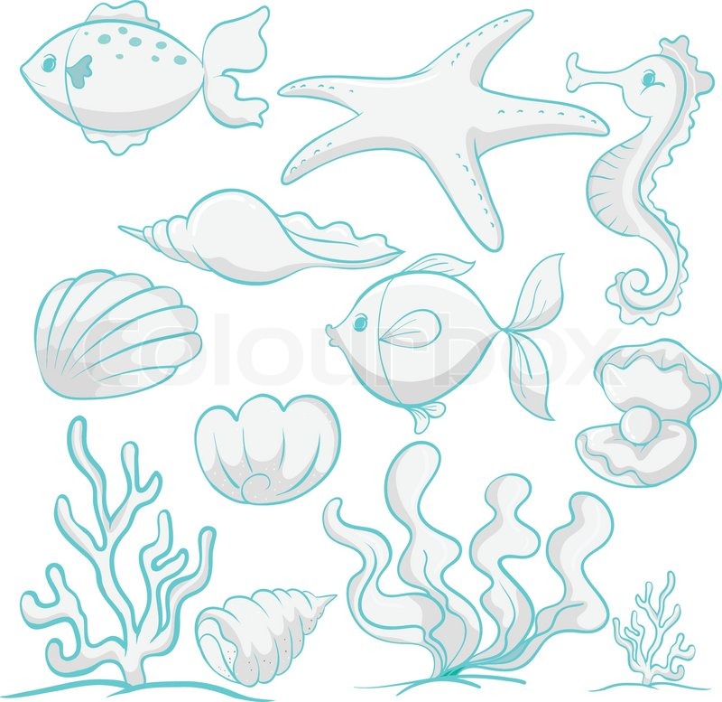 800x777 Sea Animals And Plants Stock Vector Colourbox