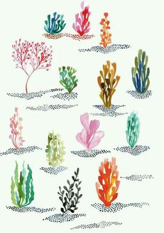 236x336 Coral Reef Underwater Set Of Cartoon Underwater Plants