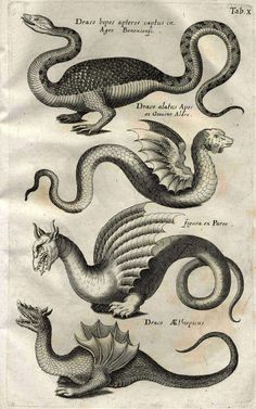 236x377 Medieval Sea Monster Drawings