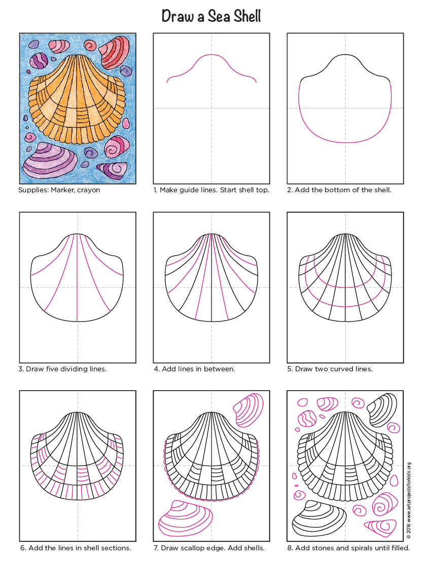 838x1112 Draw Sea Shells