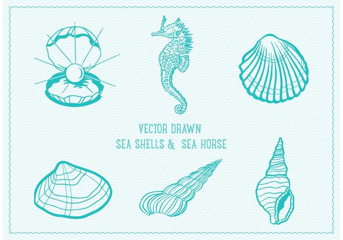 700x490 Free Vector Drawn Sea Shells