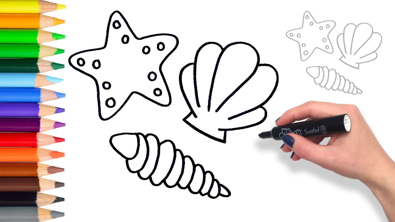 1280x720 Learn How To Draw Sea Shells Coloring Pages For Kids