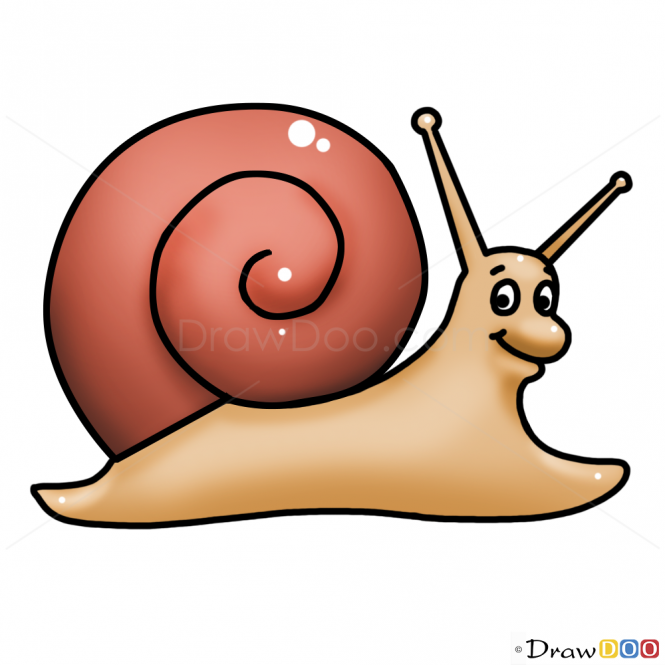 665x665 How To Draw Snail, Kids Draw Art Snail, Funny