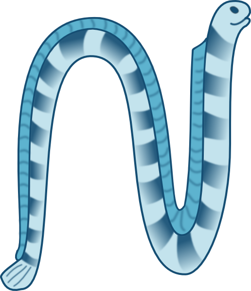 516x597 Sea Snake Clip Art
