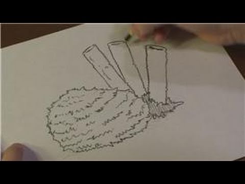 480x360 Drawing Lessons How To Draw A Sea Sponge
