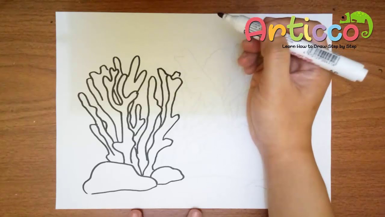 1280x720 How To Draw Coral Step By Step For Kids