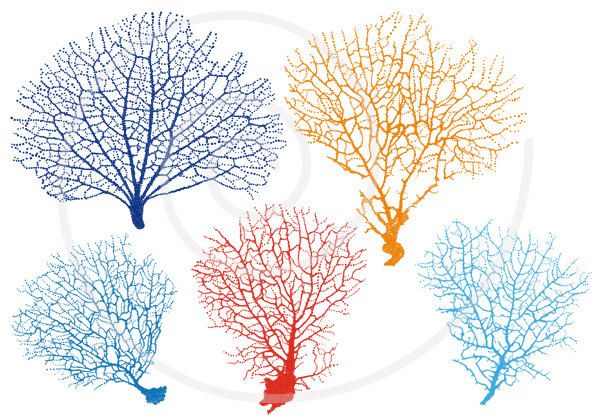 600x420 Sea Fan Coral Silhouettes, Digital Clipart, Clip Art Set For Home
