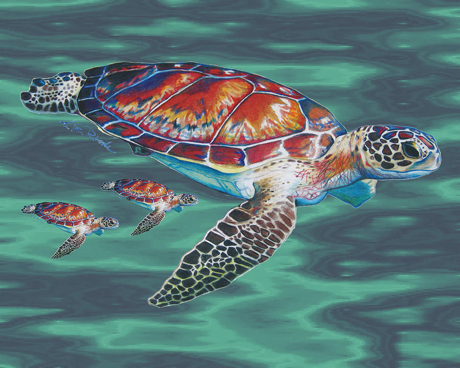 900x720 Sea Turtle Family Drawing By Karen Rhodes