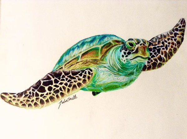 Sea Turtle Drawing Color at GetDrawings | Free download