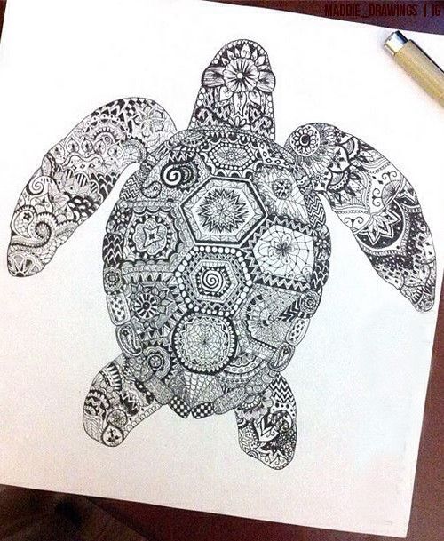 500x609 17 Best Turtle Images On Turtles, Sea Turtles And Zen