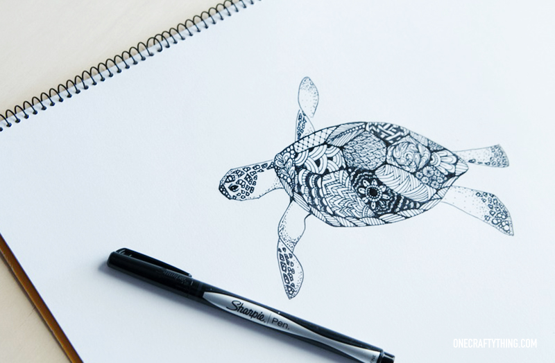 800x524 Sea Turtle Drawing Tumblr