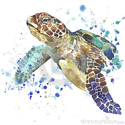 400x400 Sea Turtle Drawing Everything Turtles Turtle