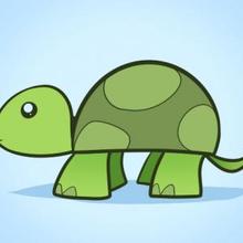220x220 How To Draw How To Draw A Turtle For Kids