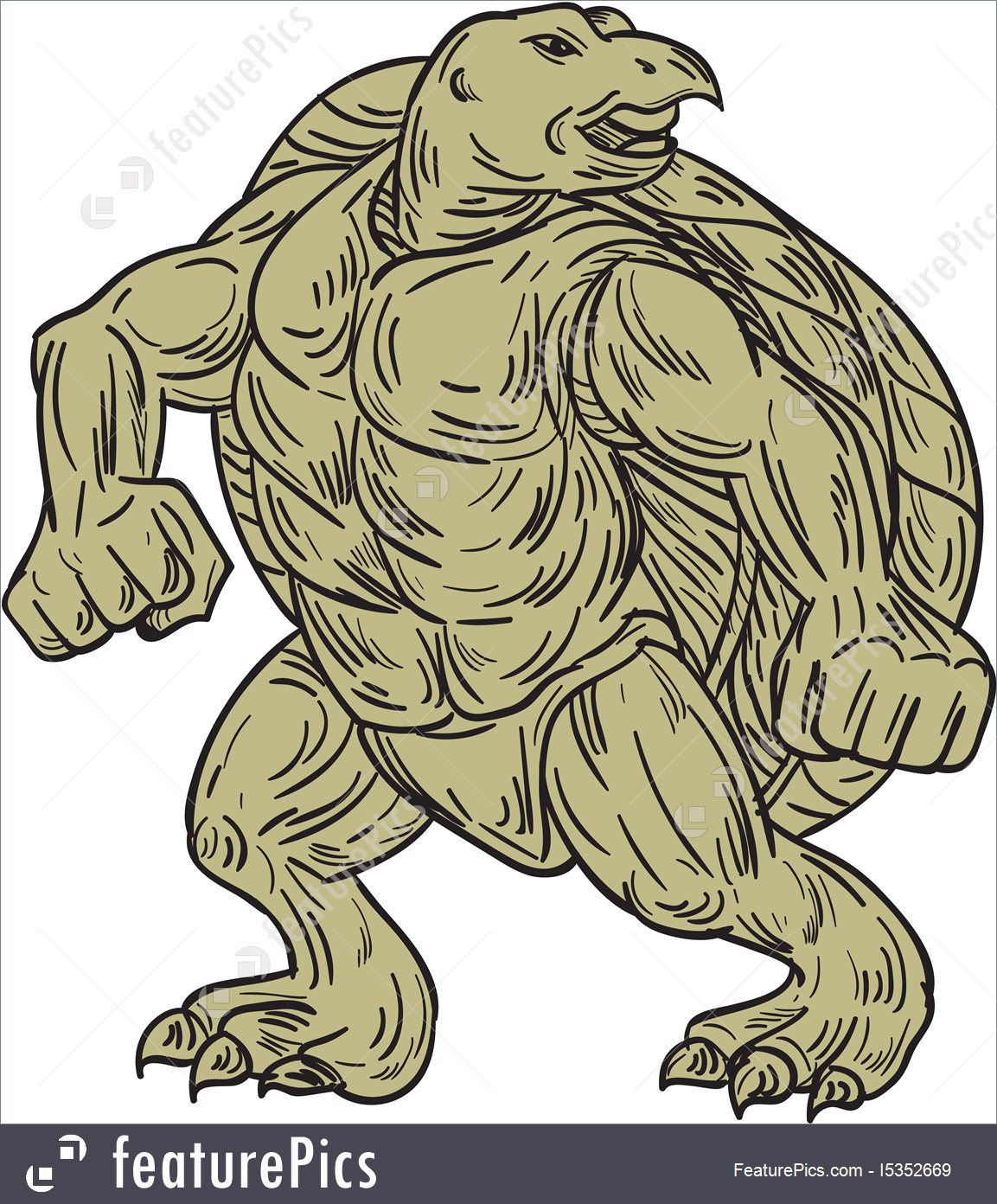 1153x1392 Illustration Of Ridley Sea Turtle Martial Arts Stance Drawing