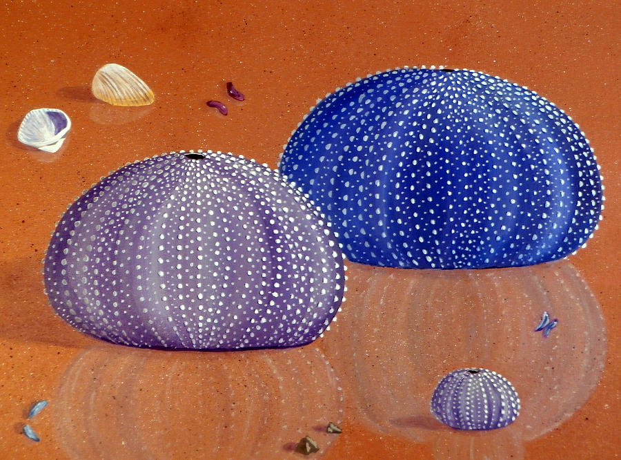 900x666 Sea Urchins On The Beach Painting By Karyn Robinson