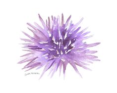 236x188 Sea Urchin Drawing Craft Inspiration Drawings