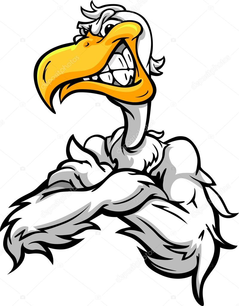 800x1023 Aggressive Pelican Or Seagull With Crossed Arms Cartoon Vector I