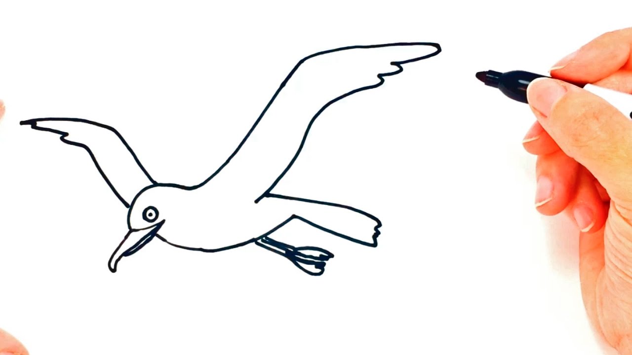 1280x720 How To Draw A Seagull Seagull Easy Draw Tutorial