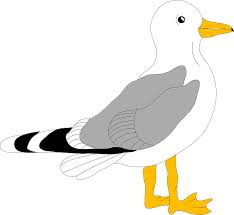 234x215 Seagull Cartoon Nemo