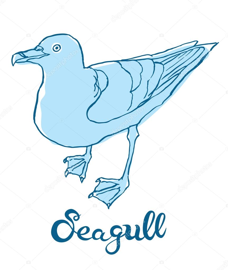 864x1023 Hand Drawing Seagull Stock Vector Annasuchkova