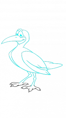 215x382 How To Draw Seagull, Animals, Birds, Easy Step By Step Drawing