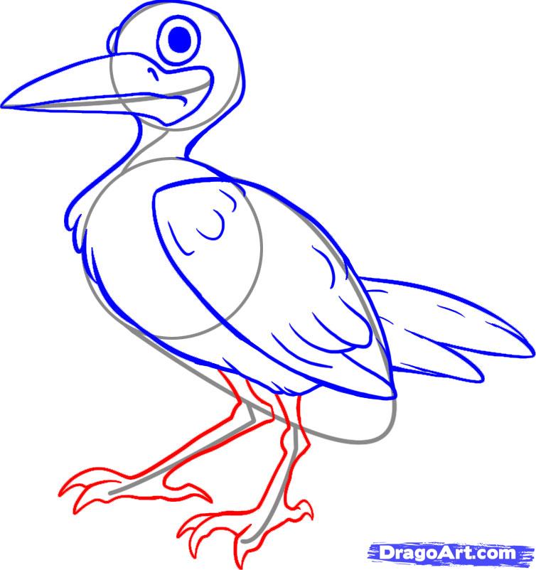 754x802 Seagull Step By Step, Cartoon, Animated. Art Amp Drawing