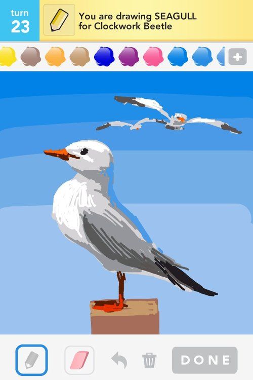500x750 How To Draw A Seagull