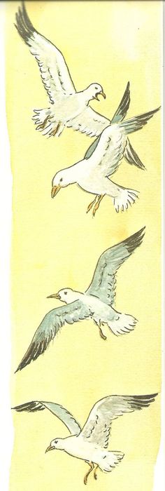 236x700 How To Draw A Seagull In Flight, Step By Step. (Add To Picture