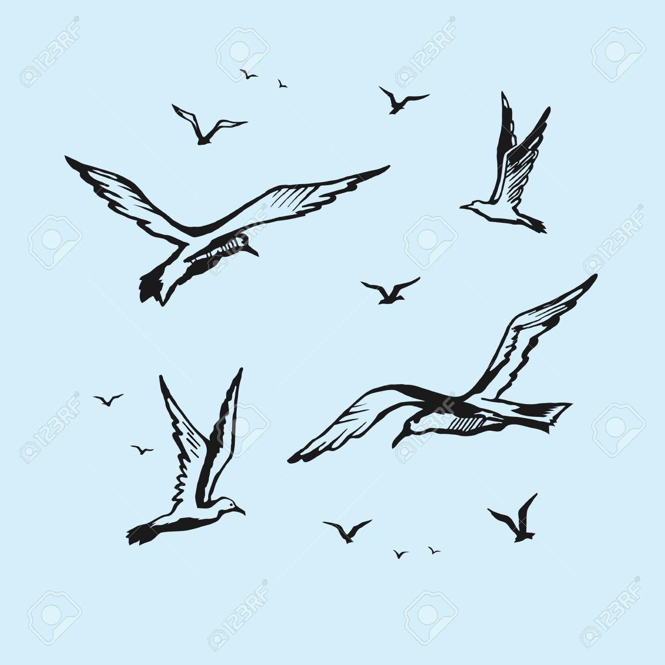 1300x1300 Seagulls Vector Sketch Drawing By Hand Royalty Free Cliparts