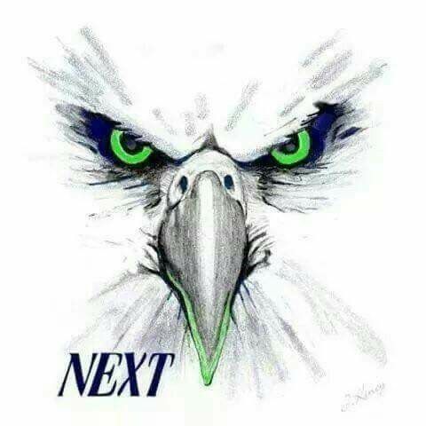 480x480 Pin By Abbyabbotter On Seattle Seahawks Memes