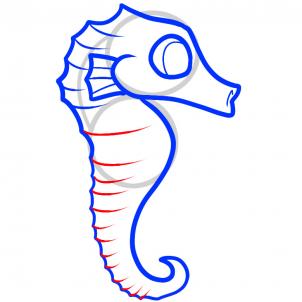 302x302 How To Draw How To Draw A Seahorse For Kids