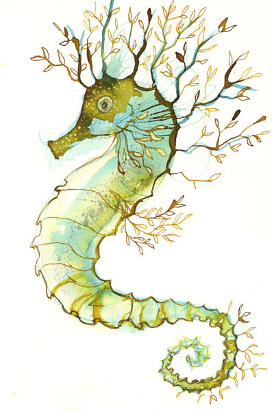 397x600 Seahorse, Inspiring For Applique And Embroidery Creative Ideas