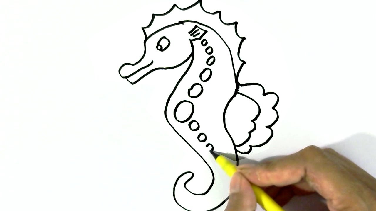 1280x720 How To Draw A Seahorse Easy Steps For Children, Kids, Beginners