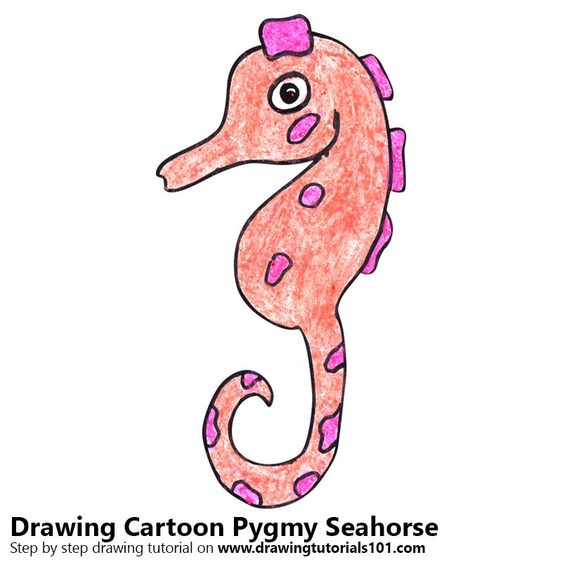 800x800 Learn How To Draw A Cartoon Pygmy Seahorse (Cartoon Animals) Step