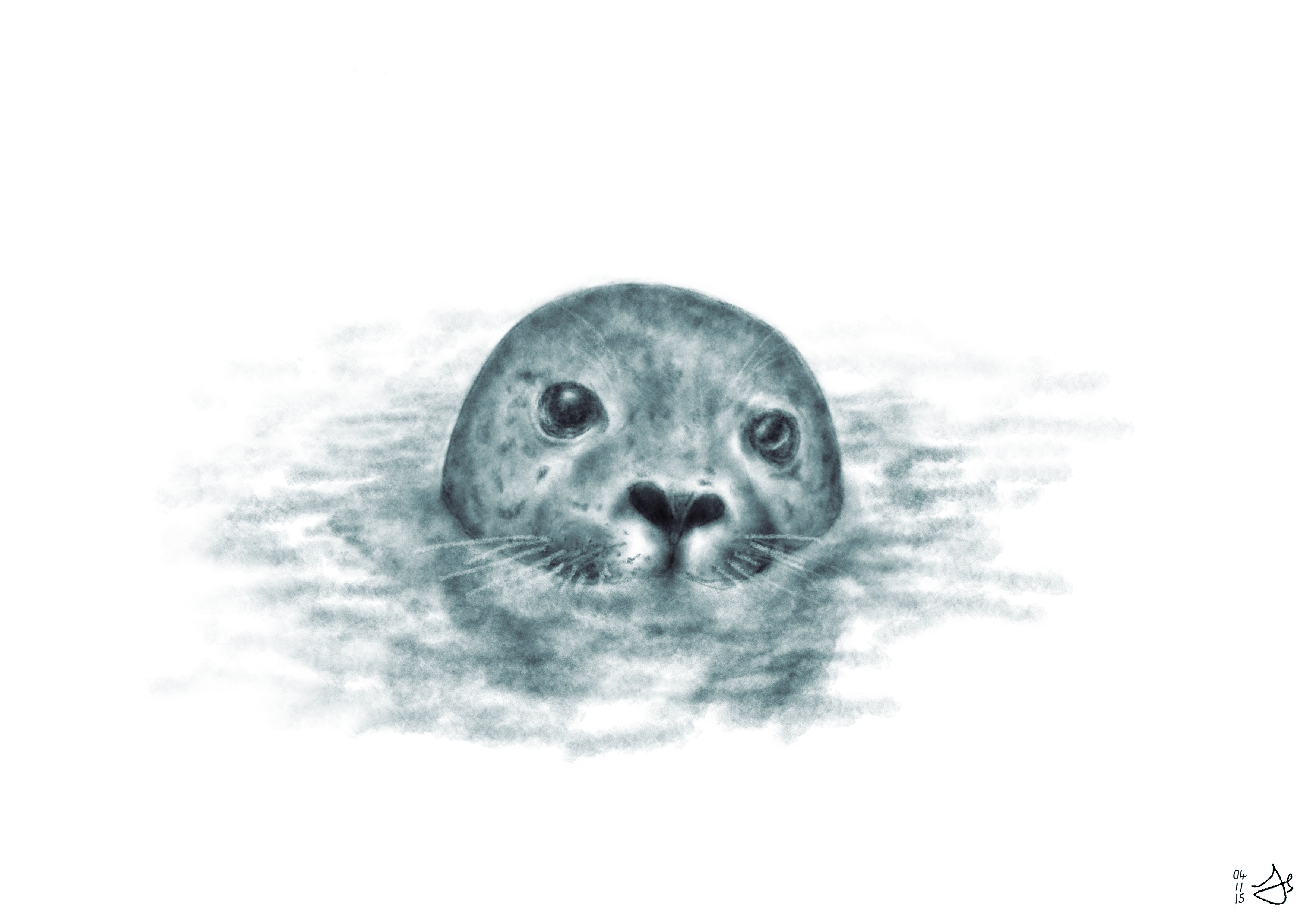 3508x2480 Seal Pup Jaywalks