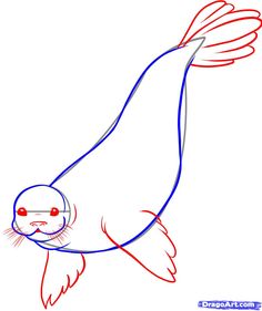 236x281 How To Draw A Seal, Step By Step, Sea Animals, Animals, Free