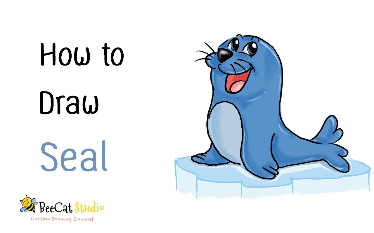 1280x800 Images Of Seals To Draw