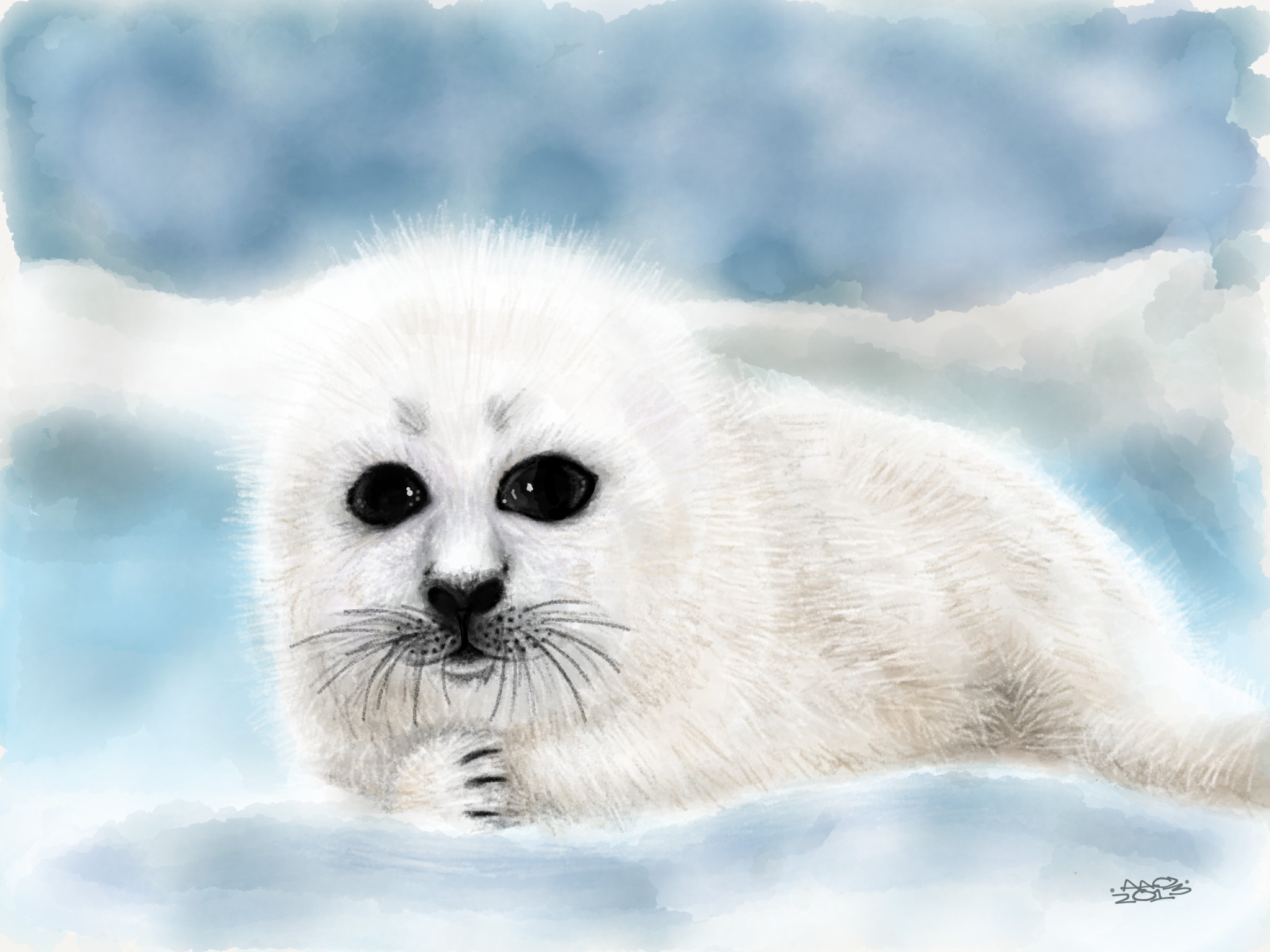 2048x1536 Cute Harp Seal Pups This Is A Drawing Of A Harp Seal Pup. Seals