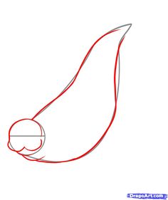 236x281 How To Draw A Seal Step 3 School Science