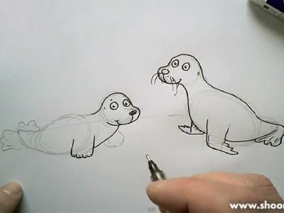 400x300 Seals Drawing