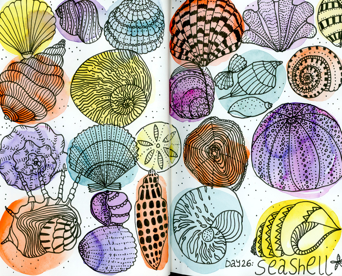 1200x968 Klika Design Seashells