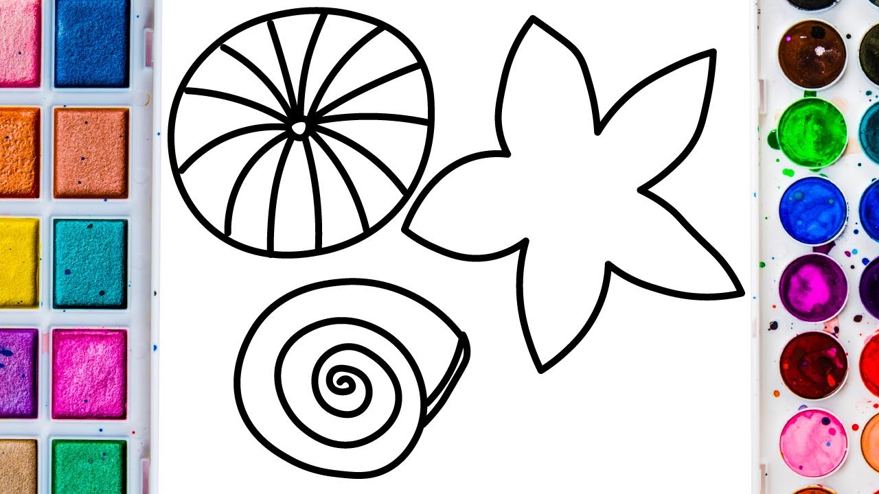 1280x720 Seashells Drawing And Coloring For Kids Coloring Pages For Kids