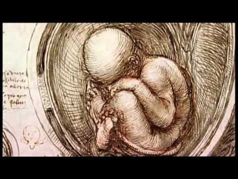 480x360 14 The Secret Of Drawing