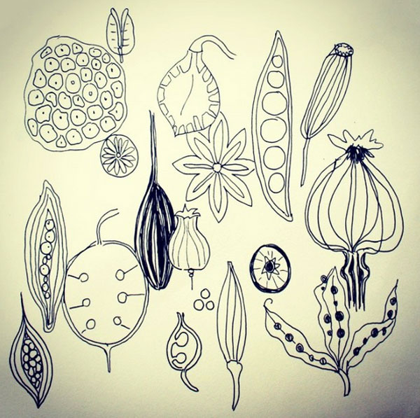 600x597 Week 4 Seed Pods Wrap Up {52 Weeks Of Nature Inspired Art